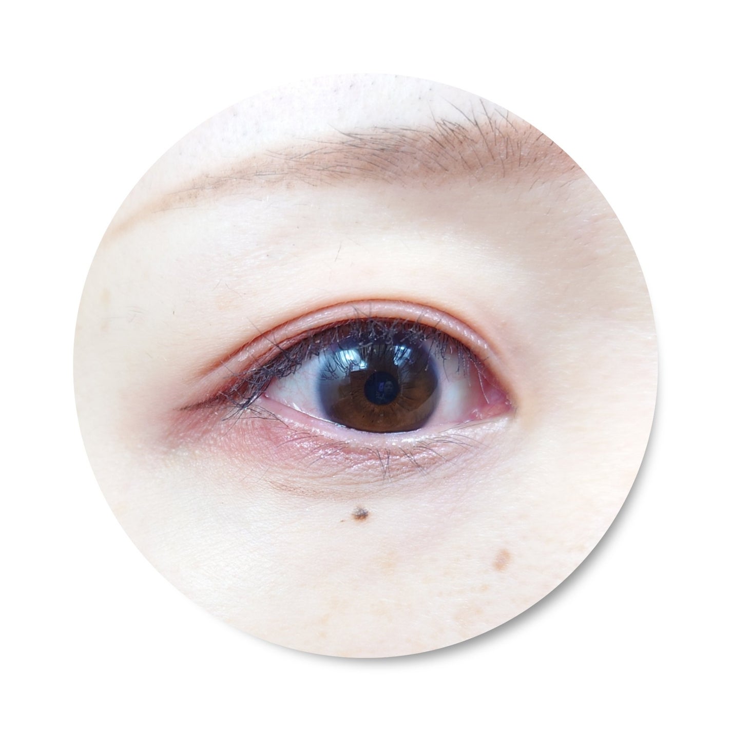 3wayスリムシェードライナー/キャンメイク/リキッドアイライナーを使ったクチコミ(2枚目)