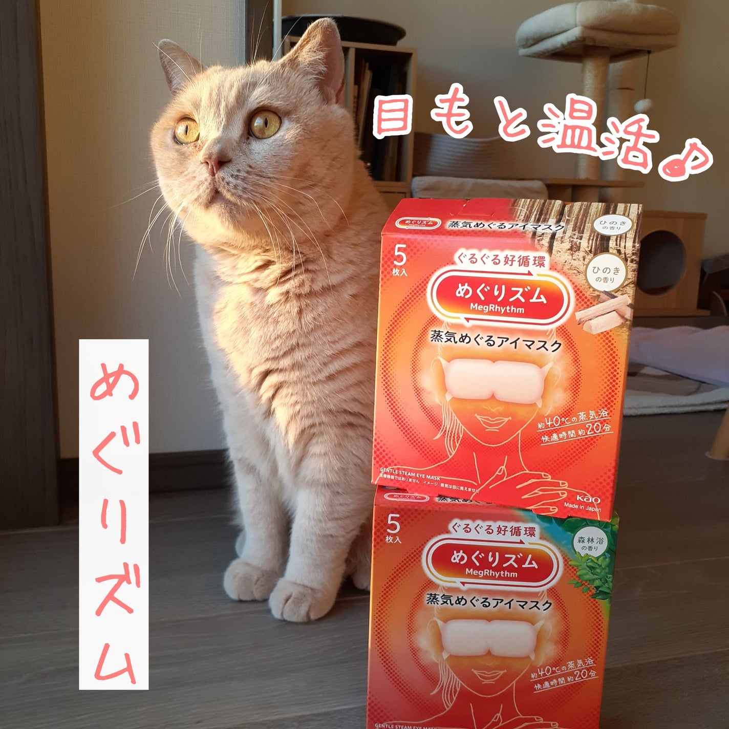 めぐりズム 蒸気でホットアイマスク 森林浴の香り/めぐりズム/ホットアイマスクを使ったクチコミ(1枚目)