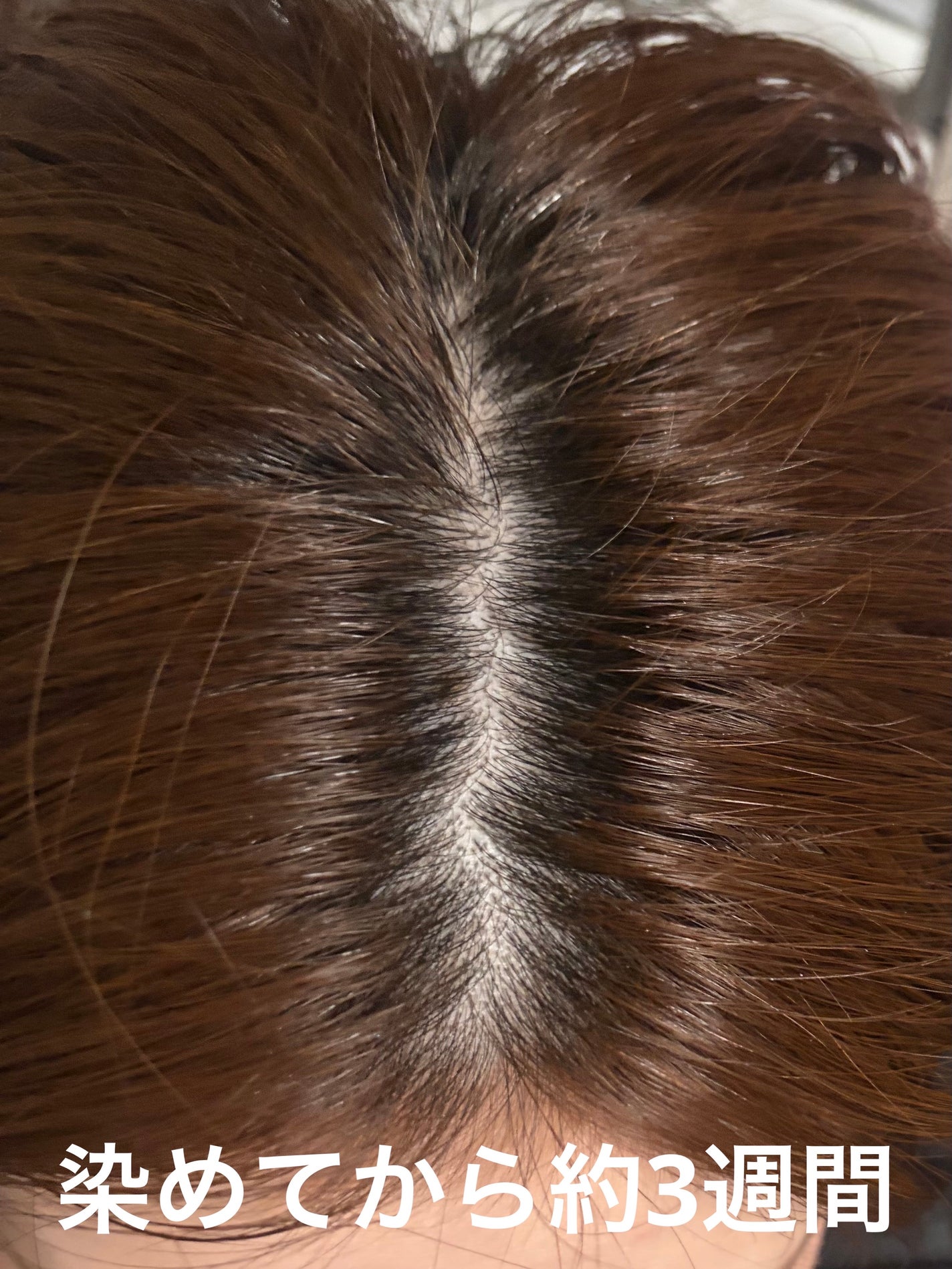 クリアリーカラー (白髪用) /クレオディーテ/ヘアカラーを使ったクチコミ(9枚目)