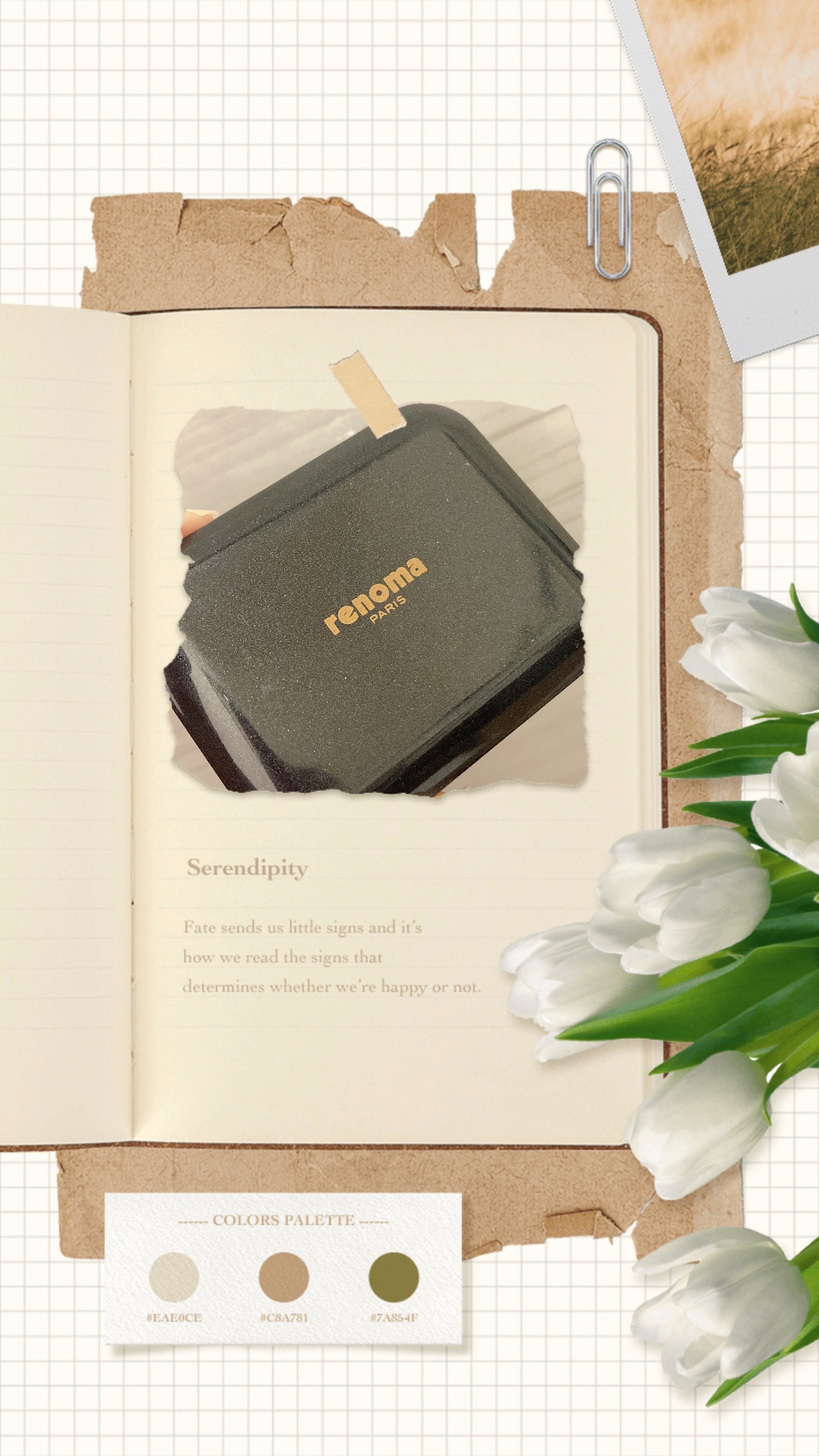 ルーセントマジック ブラッシュ/ロレアル パリ/パウダーチークを使ったクチコミ（1枚目）