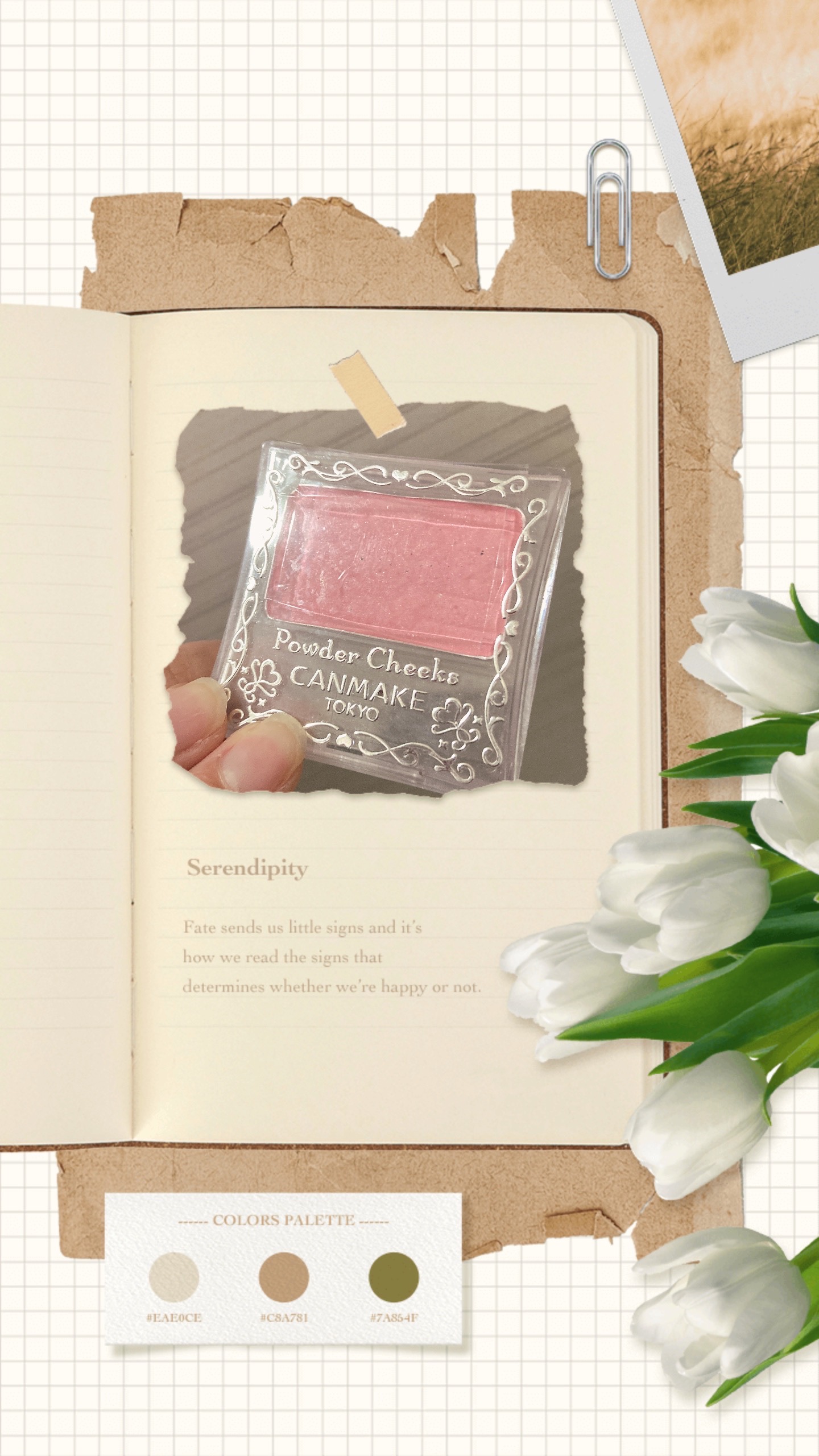 パウダーチークス/キャンメイク/パウダーチークを使ったクチコミ（1枚目）