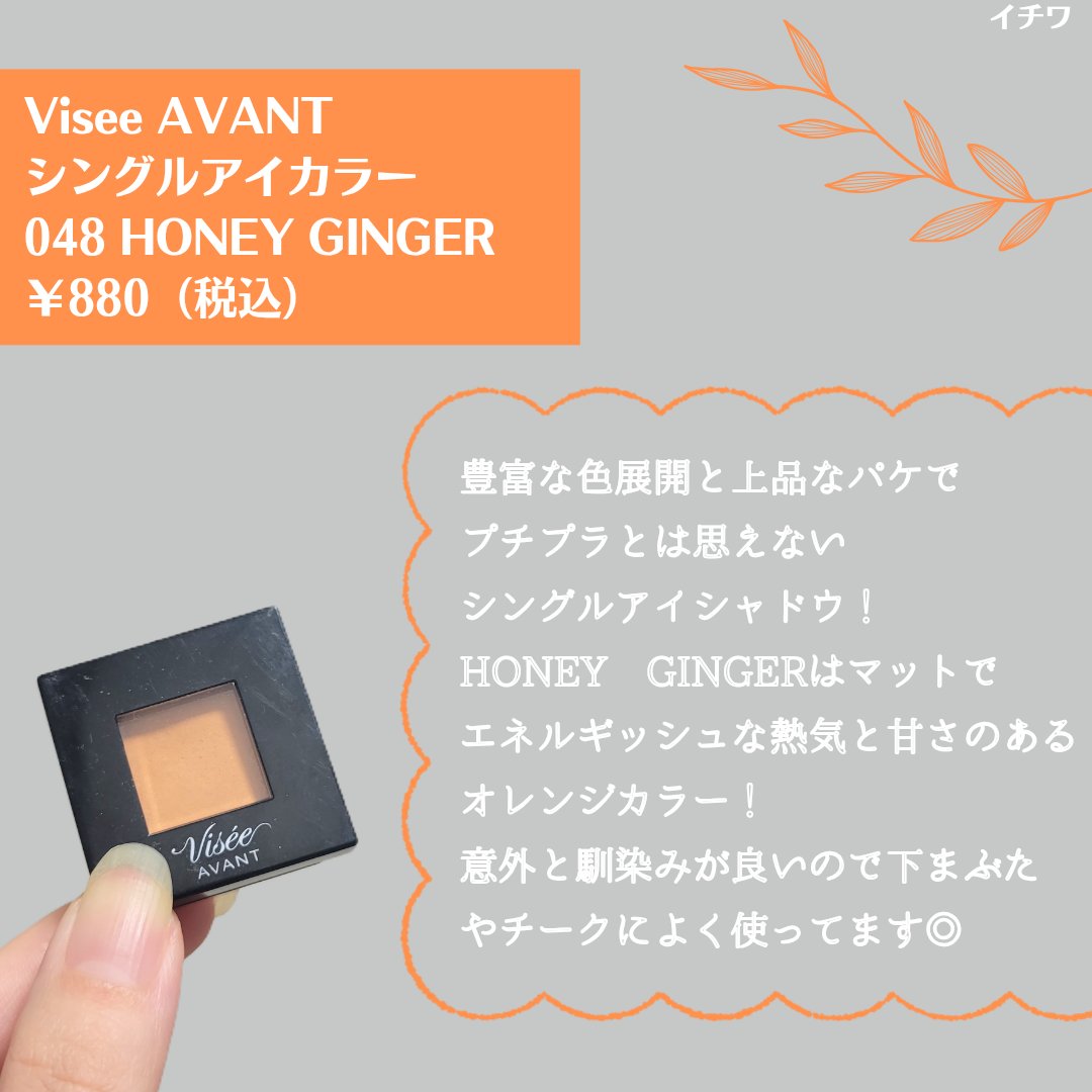 ヴィセ アヴァン シングルアイカラー/Visée/単色アイシャドウを使ったクチコミ（3枚目）