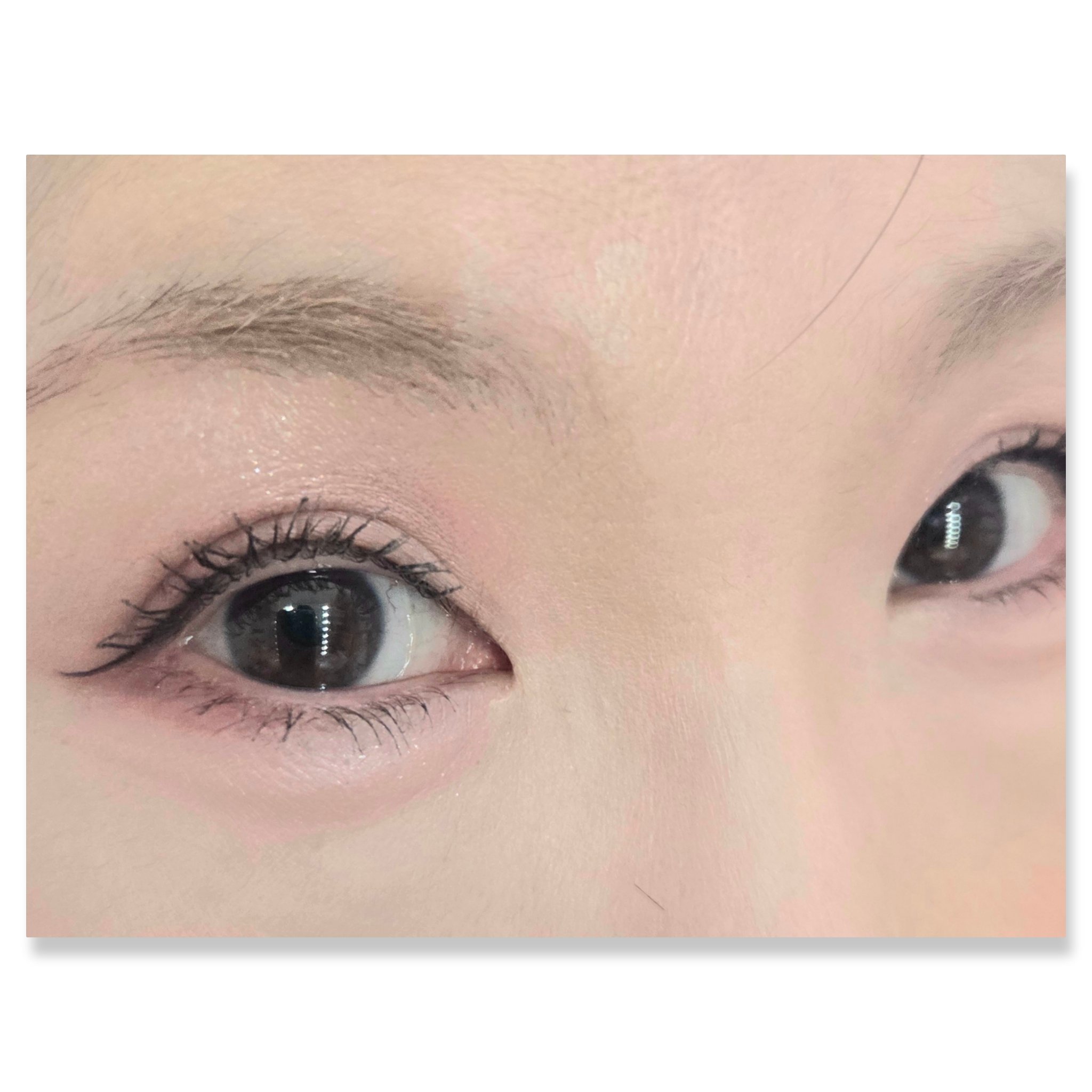 s'appu eye palette/NEUFIL/アイシャドウパレットを使ったクチコミ（2枚目）