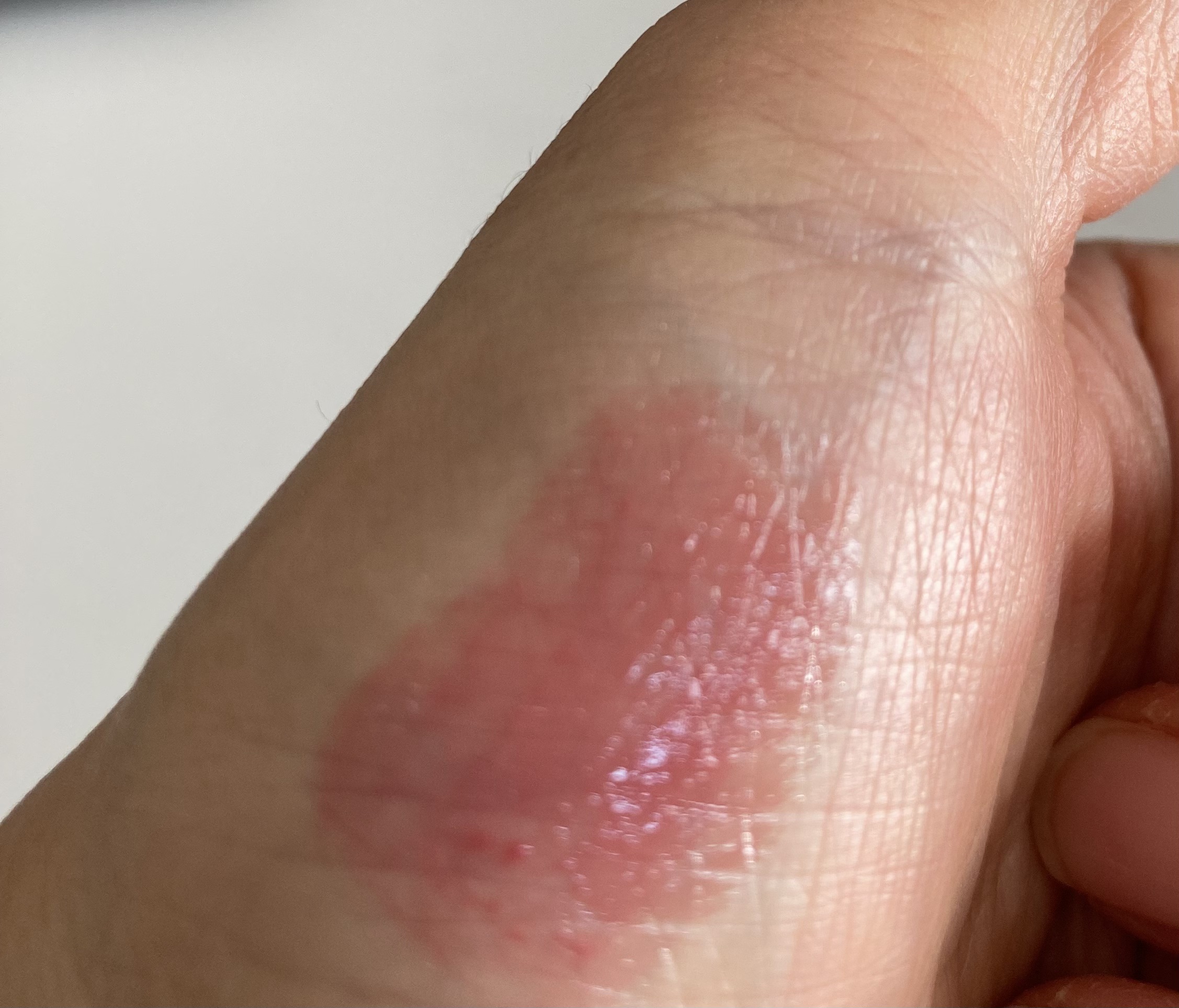 グラスティングメルティングバーム/rom&nd/リップバームを使ったクチコミ（3枚目）