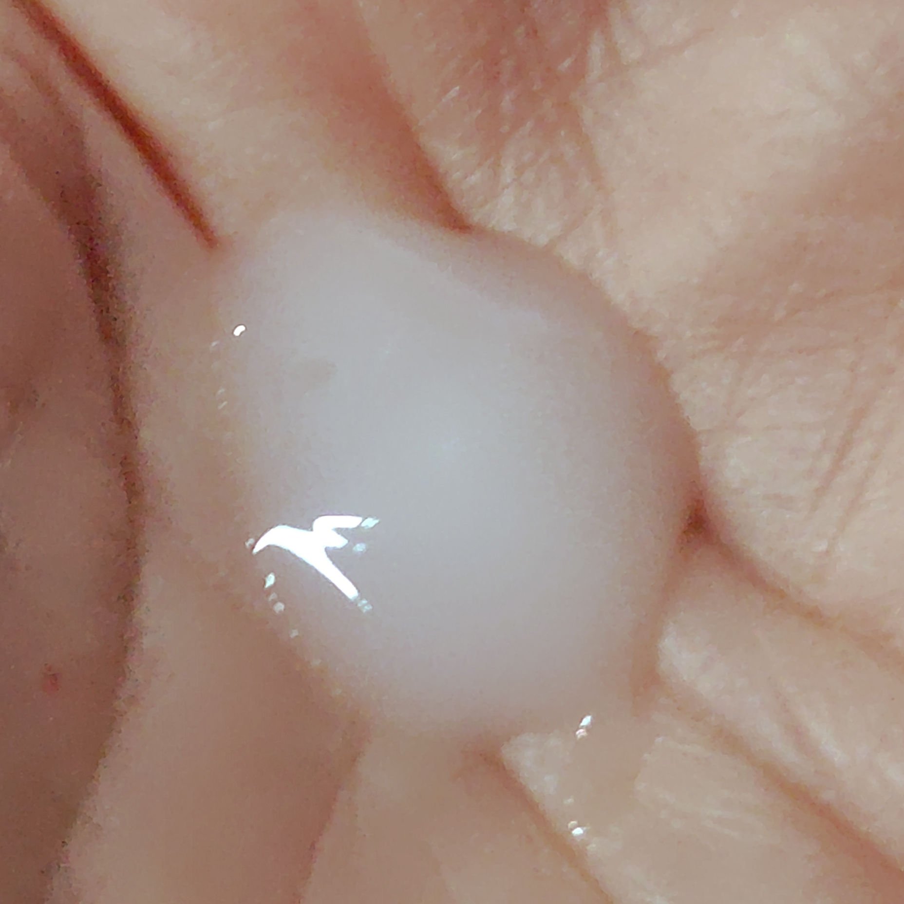 イプサ ＭＥ ｎ 3/IPSA/化粧水を使ったクチコミ（3枚目）