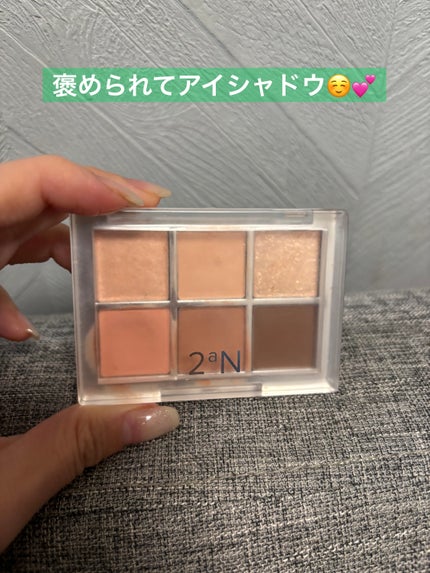 ベターミーアイパレット/2aN/マルチパレットを使ったクチコミ(1枚目)