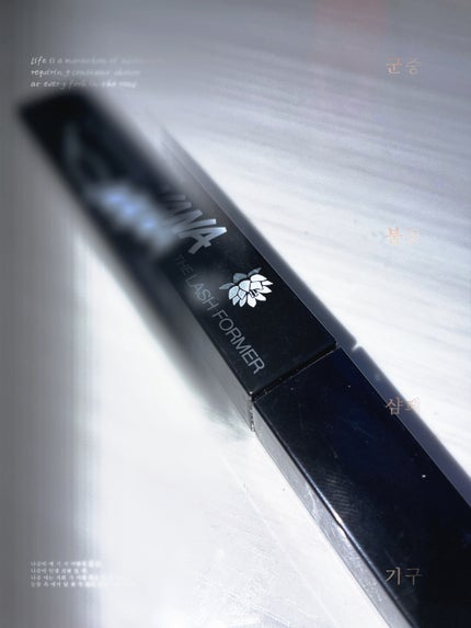 ケイト ラッシュバースト/KATE/マスカラを使ったクチコミ(1枚目)