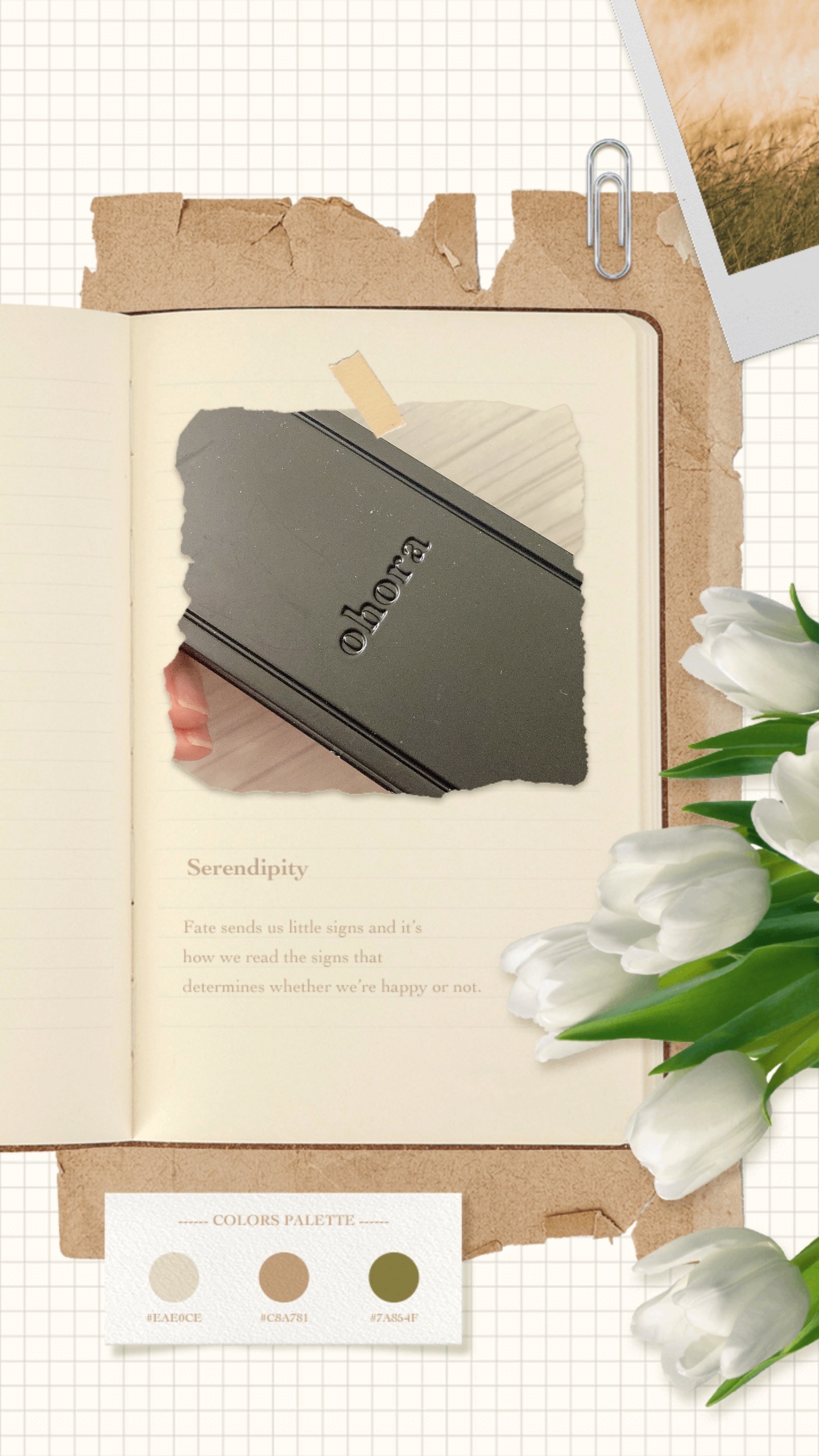 セミキュアジェルネイル（ハンド）/ohora/ネイルシールを使ったクチコミ（1枚目）