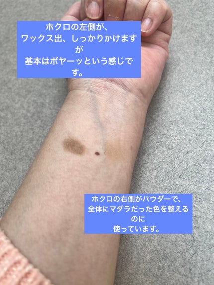 アイブロウワックス&パウダー W1 ライトブラウン/CEZANNE/アイブロウの画像