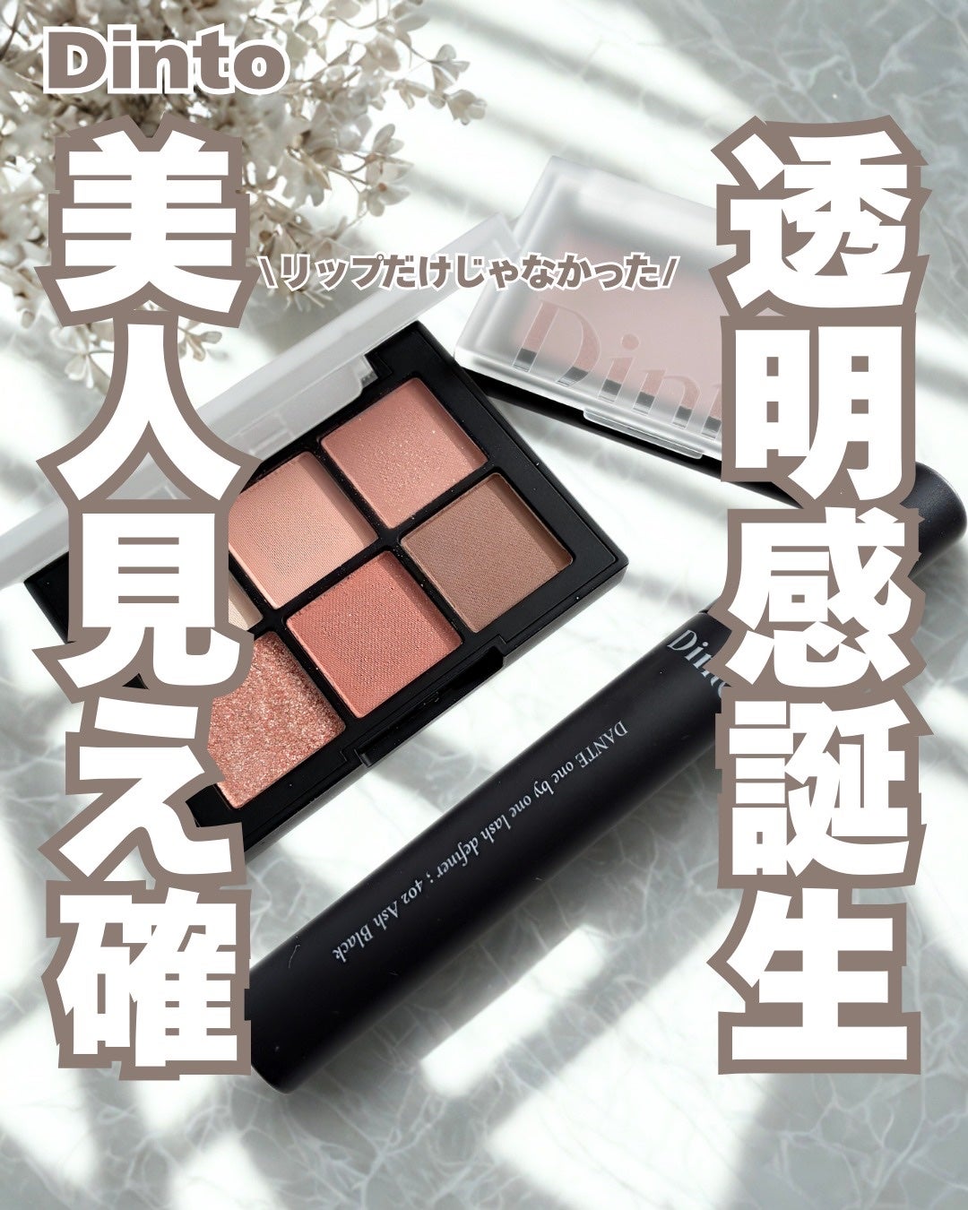 ブラーフィニシュシャドウパレット/Dinto/アイシャドウパレットを使ったクチコミ(1枚目)