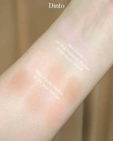ブラーフィニシュシャドウパレット/Dinto/アイシャドウパレットを使ったクチコミ(4枚目)
