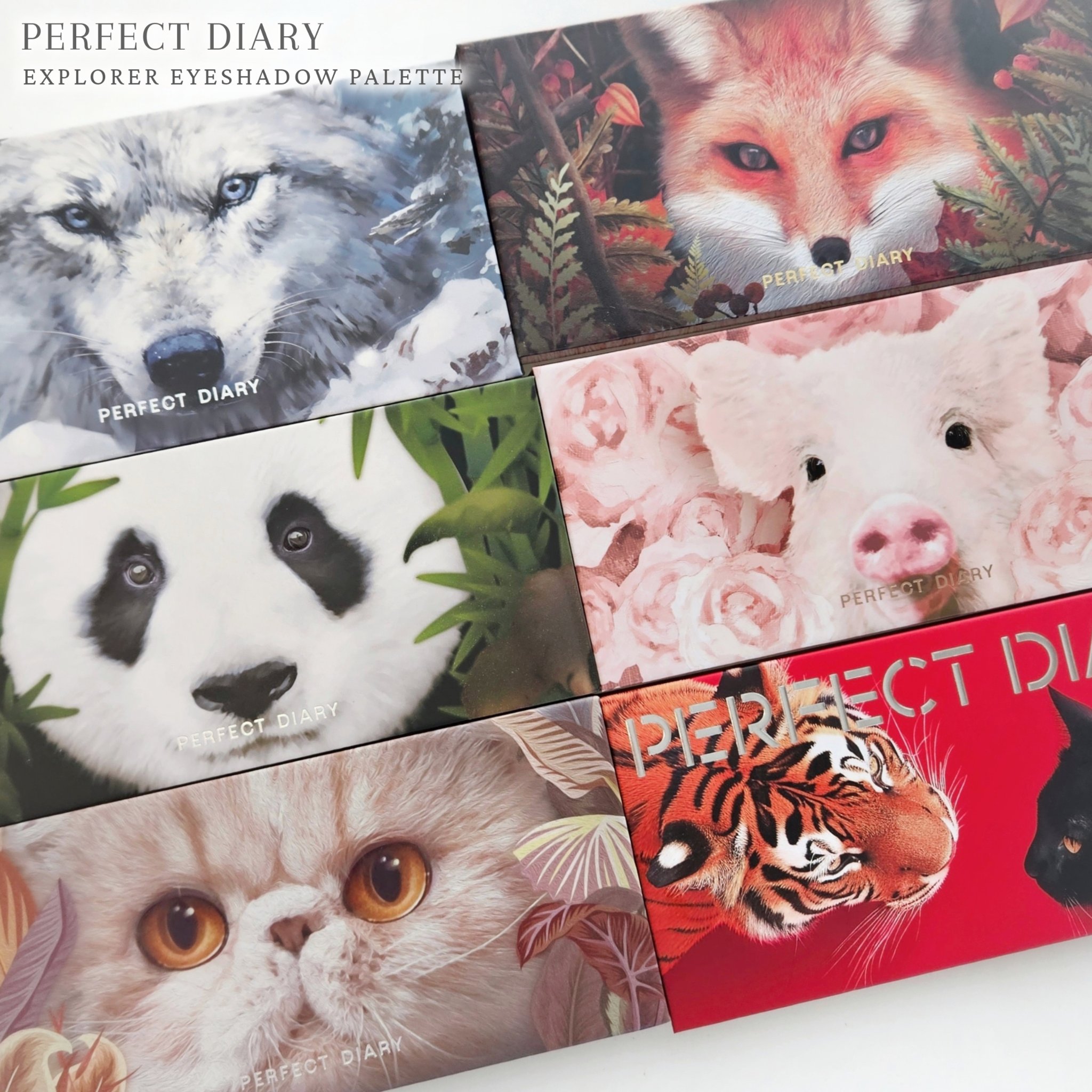 エクスプローラ12色 動物アイシャドウパレット/PERFECT DIARY/アイシャドウパレットを使ったクチコミ（2枚目）