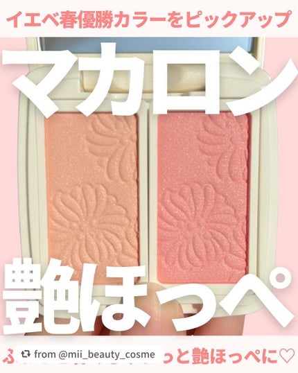 フェイスカラー ブラッシュ/PAUL & JOE BEAUTE/パウダーチークを使ったクチコミ(1枚目)