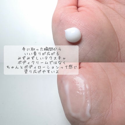 パフュームボディローション リリィムスクホワイトティー/TEABLESS/ボディローションを使ったクチコミ(2枚目)