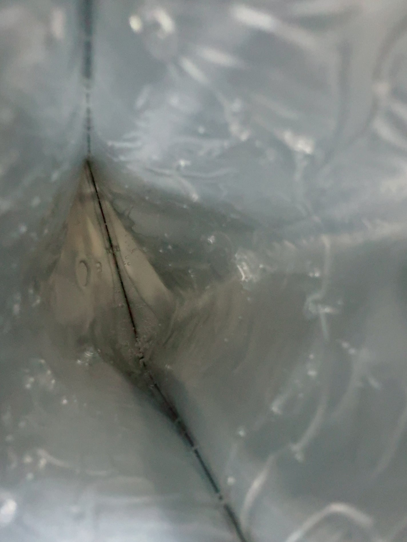 植物性ボトックスマスクパック/CHICSKIN/シートマスク・パックを使ったクチコミ(5枚目)