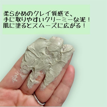 ティーツリーシカポアクレイパック/BRINGGREEN/洗い流すパック・マスクを使ったクチコミ(2枚目)