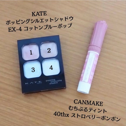 むちぷるティント/キャンメイク/リップティントを使ったクチコミ(1枚目)