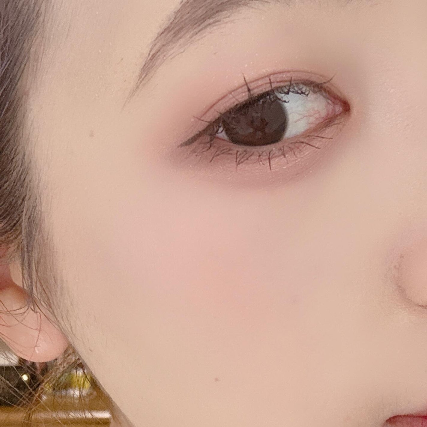 ブラーフィニシュシャドウパレット/Dinto/アイシャドウパレットを使ったクチコミ(3枚目)