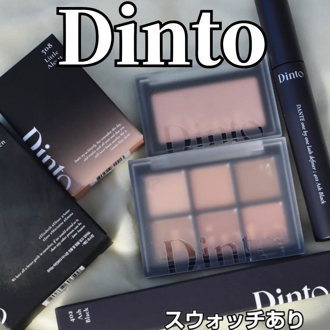 ブラーフィニシュシャドウパレット/Dinto/アイシャドウパレットを使ったクチコミ（1枚目）