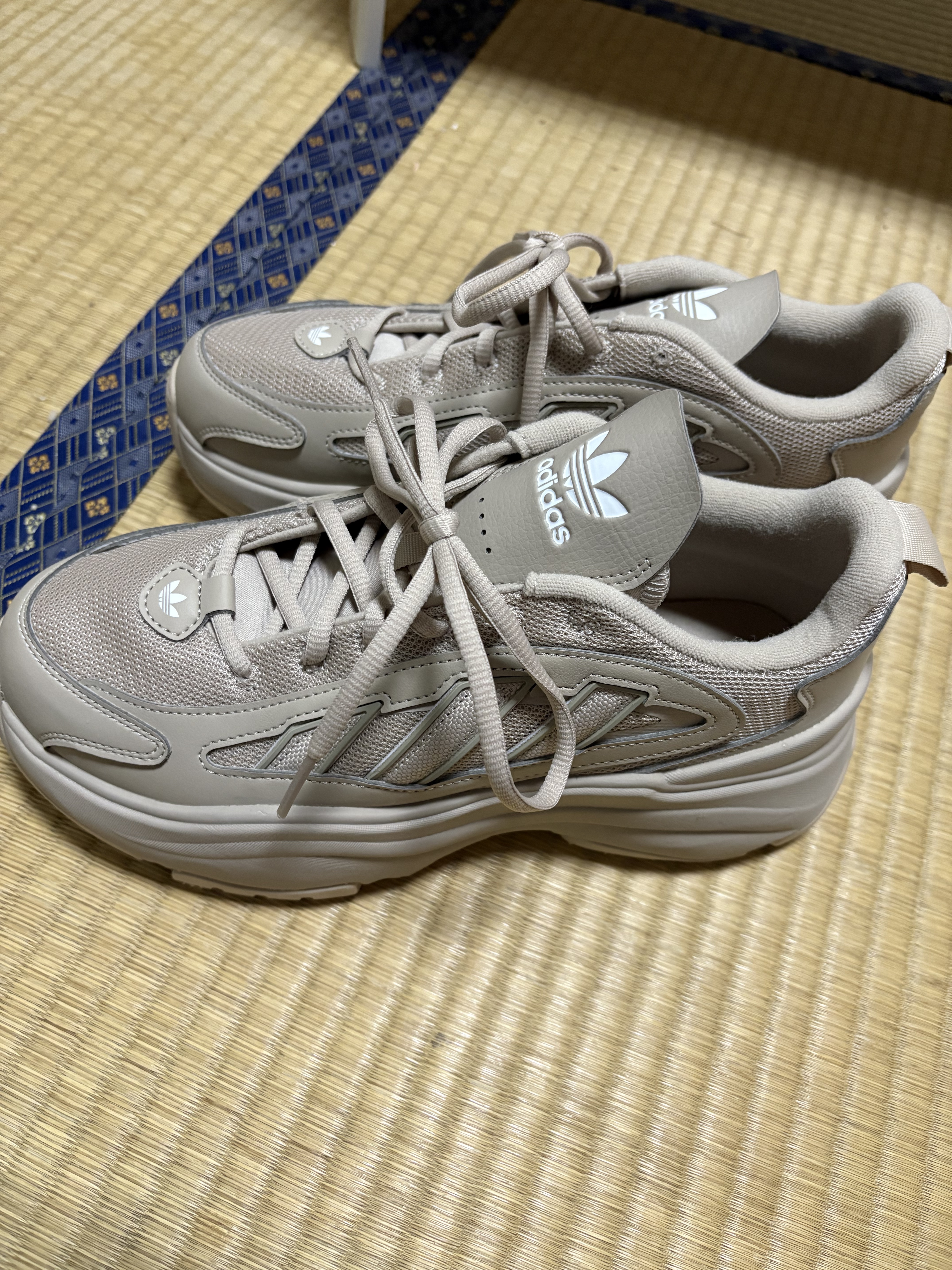 スニーカーをアップデート

アディダスオリジナルスオズガイア

オズシリーズのエントリーモデル

90年代に発売されたダッドスニーカーをベースに厚底になり現代風にアレンジ

個性的であり厚底スニーカーが好きな方に

レディースモデルになるた