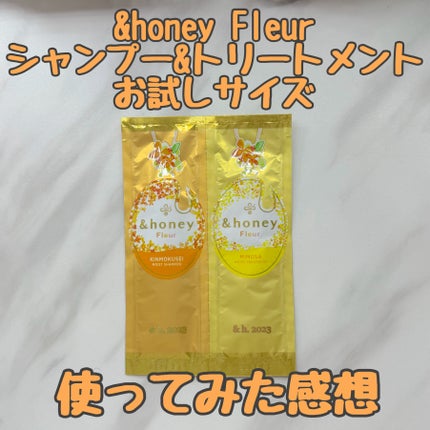 アンドハニー フルール シャンプー1.0 /アンドハニー フルール トリートメント2.0/&honey/市販シャンプーを使ったクチコミ(1枚目)