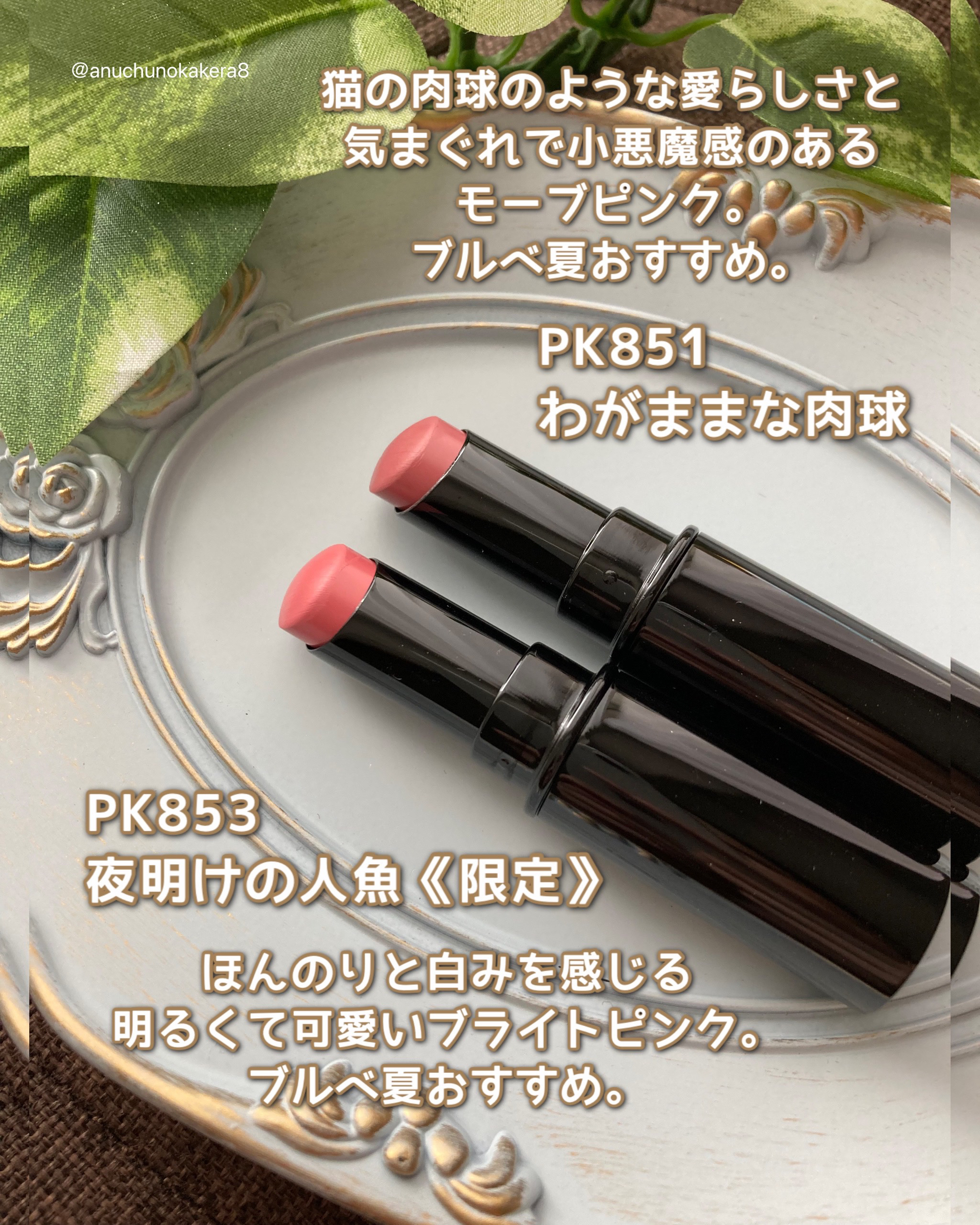 ネンマクフェイク ルージュ/Visée/口紅を使ったクチコミ（2枚目）