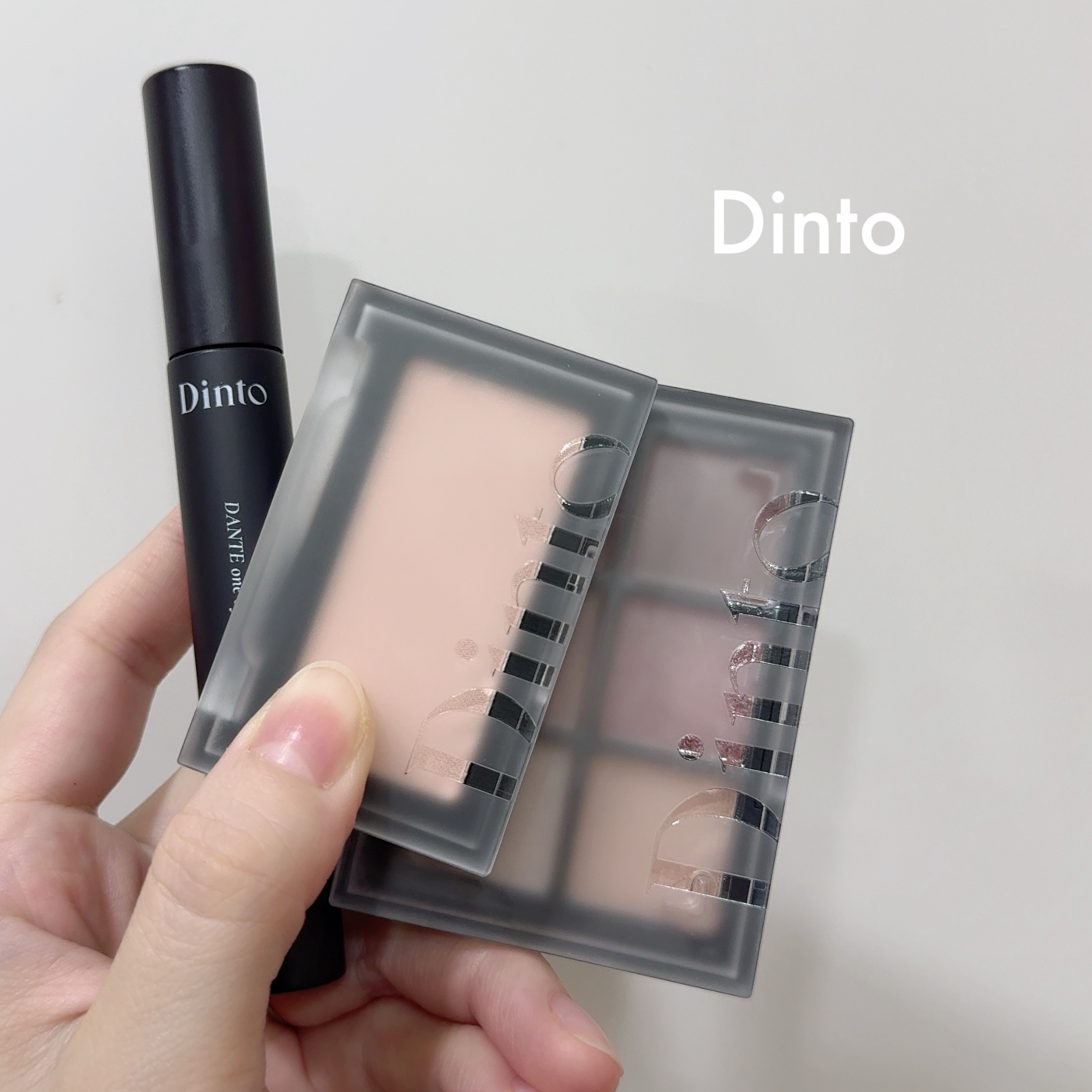 ブラーフィニシュシャドウパレット/Dinto/アイシャドウパレットを使ったクチコミ（1枚目）