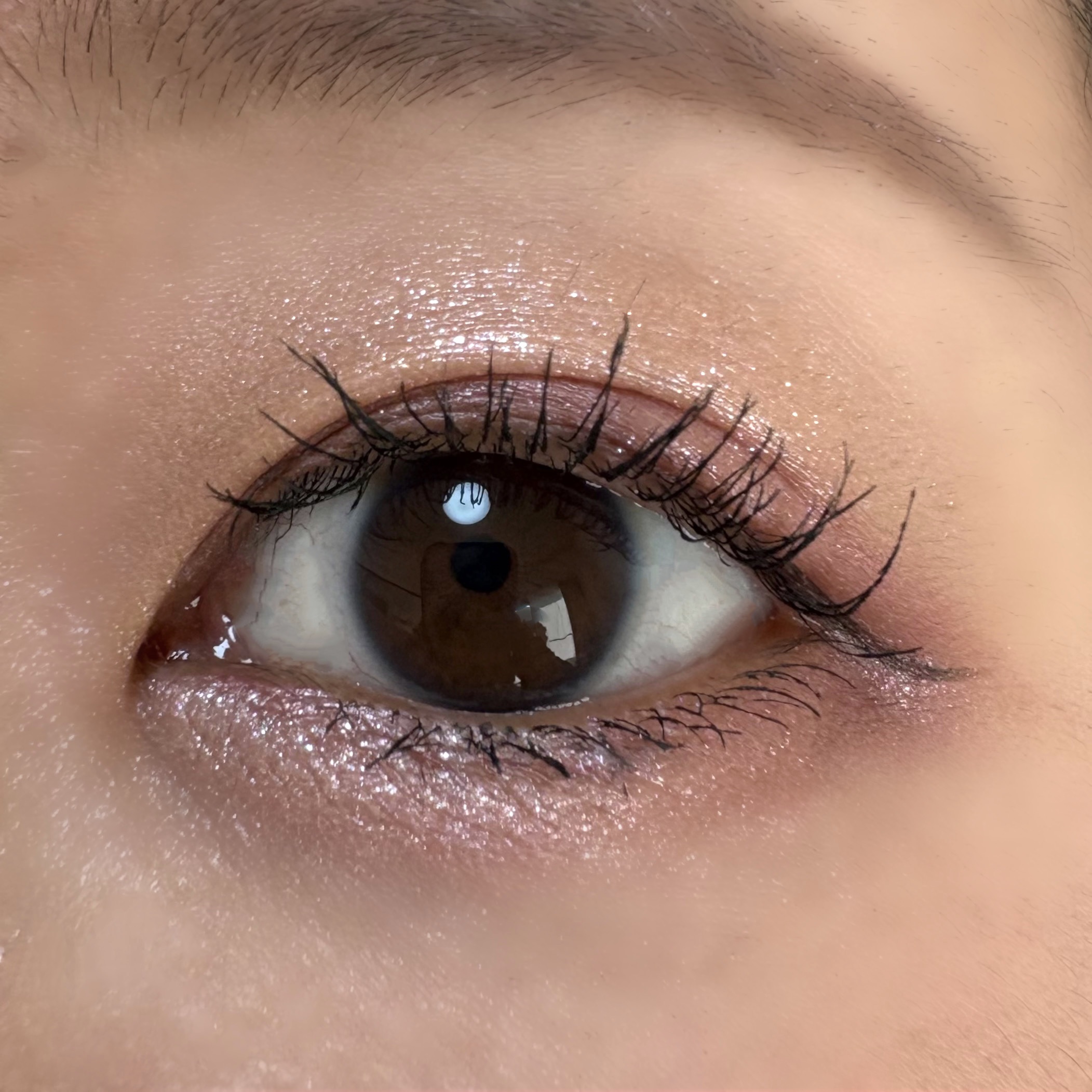 アイスカルプト/shu uemura/アイシャドウパレットを使ったクチコミ（2枚目）