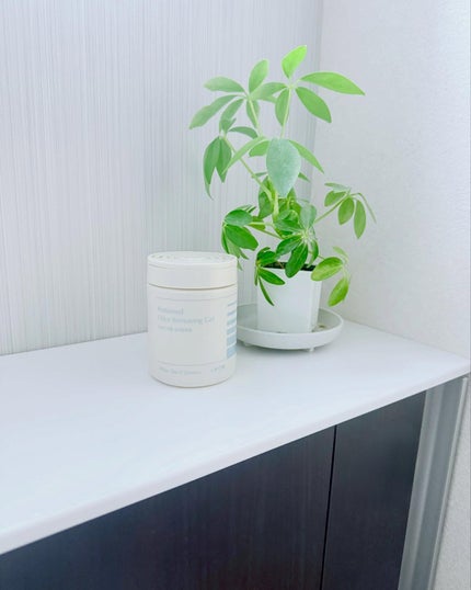 ヴィーガン パフューム 消臭剤 ホワイトティー&ジャスミン/LAVOIR/ルームフレグランスを使ったクチコミ(3枚目)