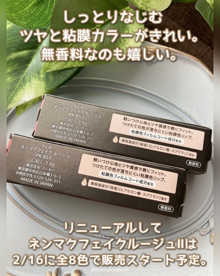 ネンマクフェイク ルージュ/Visée/口紅を使ったクチコミ(5枚目)