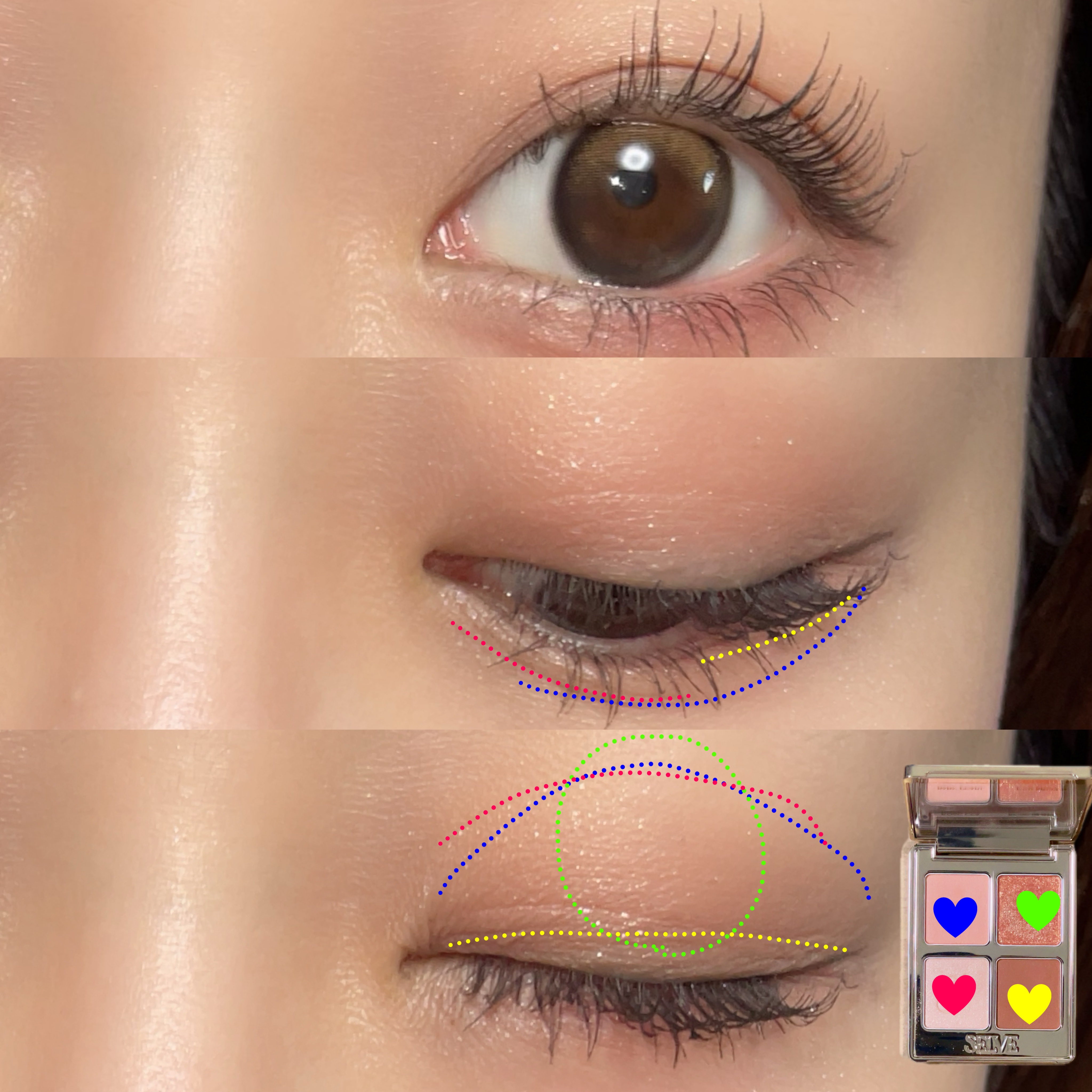 マイミューズパレット/SELVE/アイシャドウパレットを使ったクチコミ（3枚目）