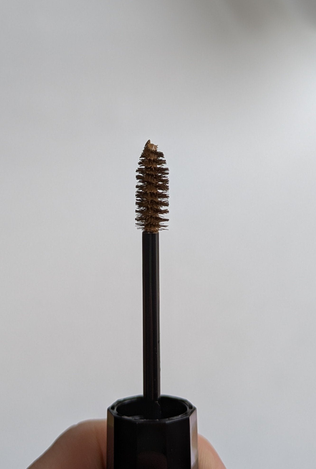 ヘビーローテーション カラーリングアイブロウEX/ヘビーローテーション/眉マスカラを使ったクチコミ(3枚目)