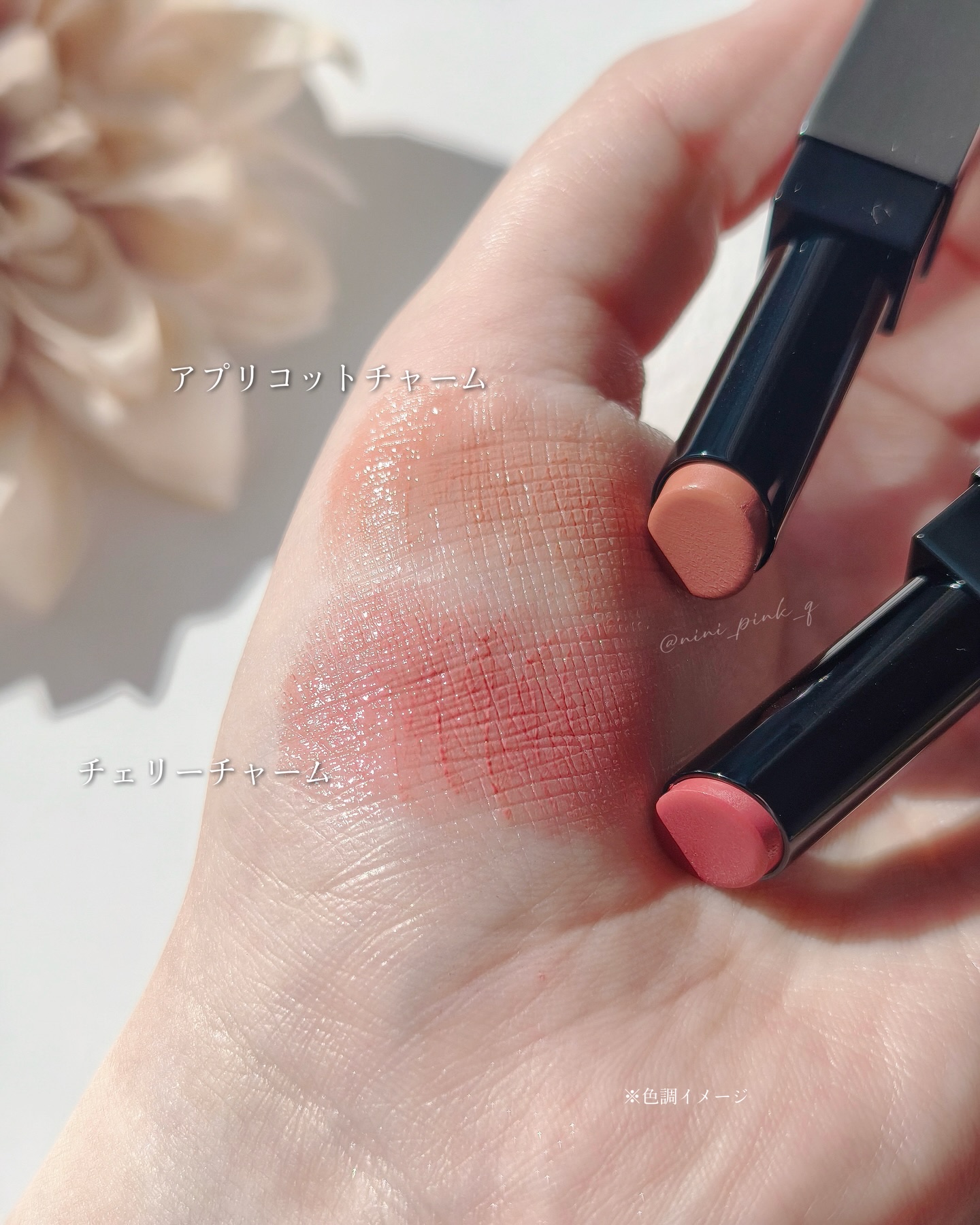 ミネラルシアールージュⅡ アプリコットチャーム(限定)/エトヴォス/口紅を使ったクチコミ（3枚目）