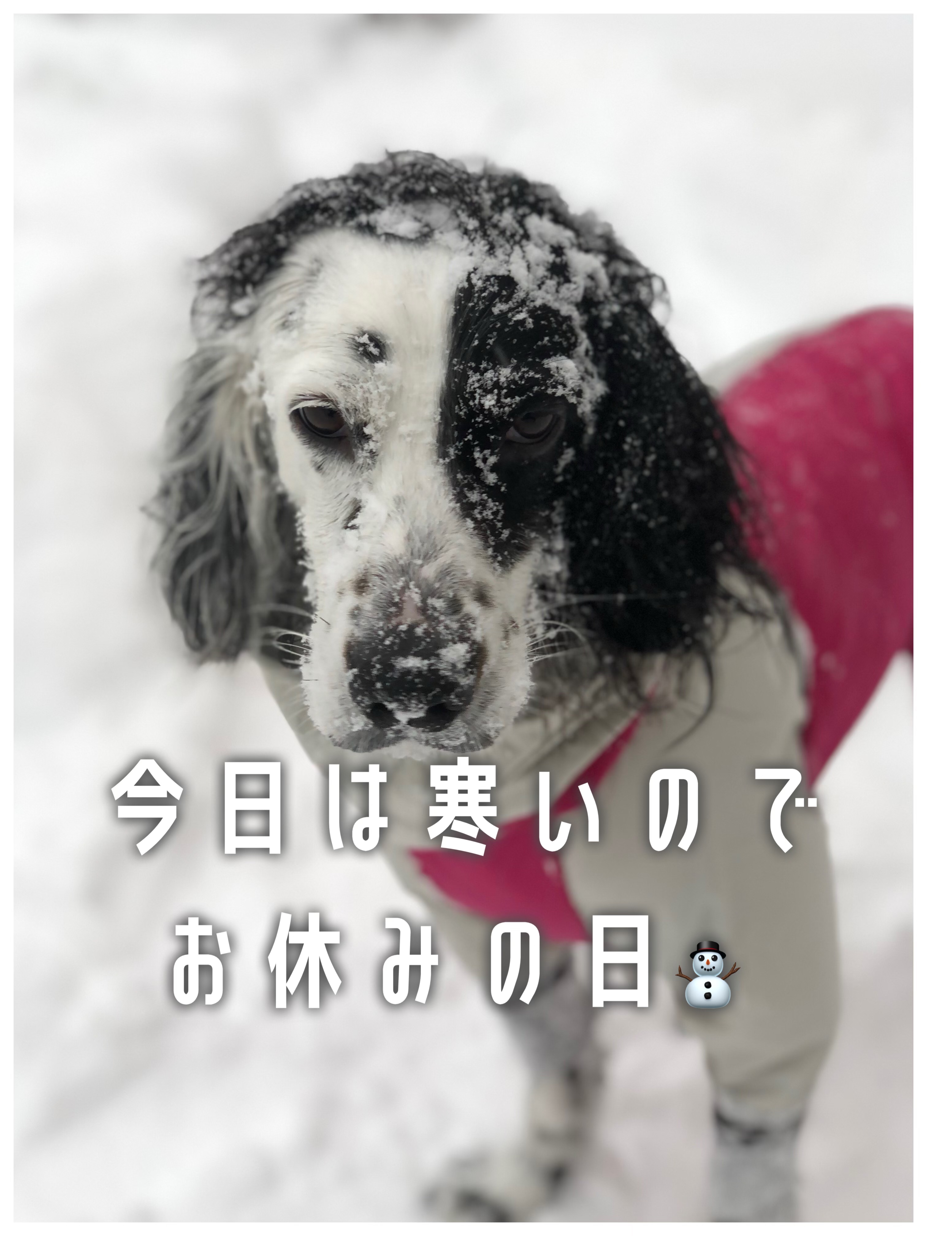 バイツリーズ モイストリペアヘアオイル/byTREES/ヘアオイルを使ったクチコミ（1枚目）