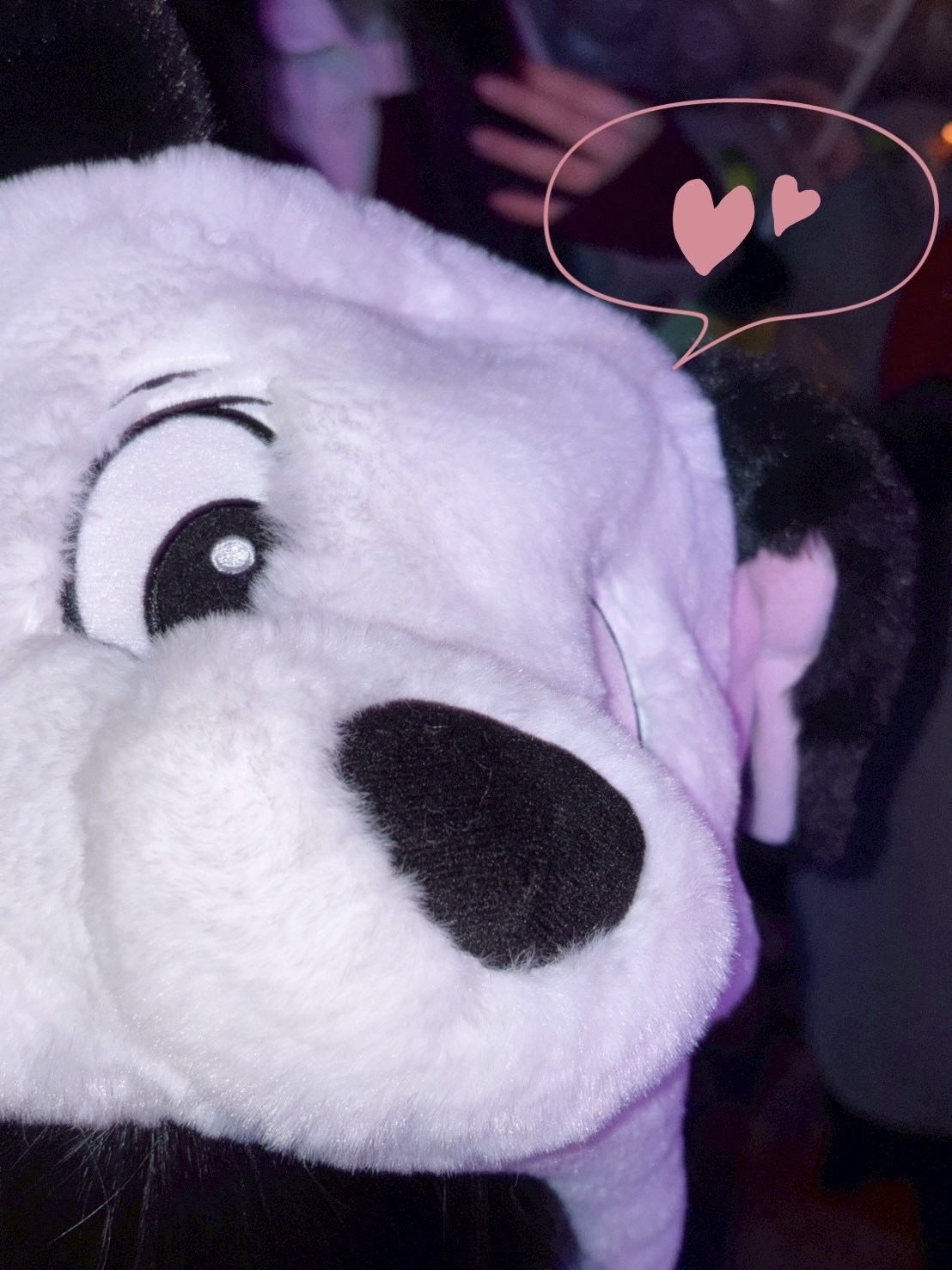 JUDYDOLL メリハリマスターパレット/JUDYDOLL/パウダーハイライトを使ったクチコミ（1枚目）