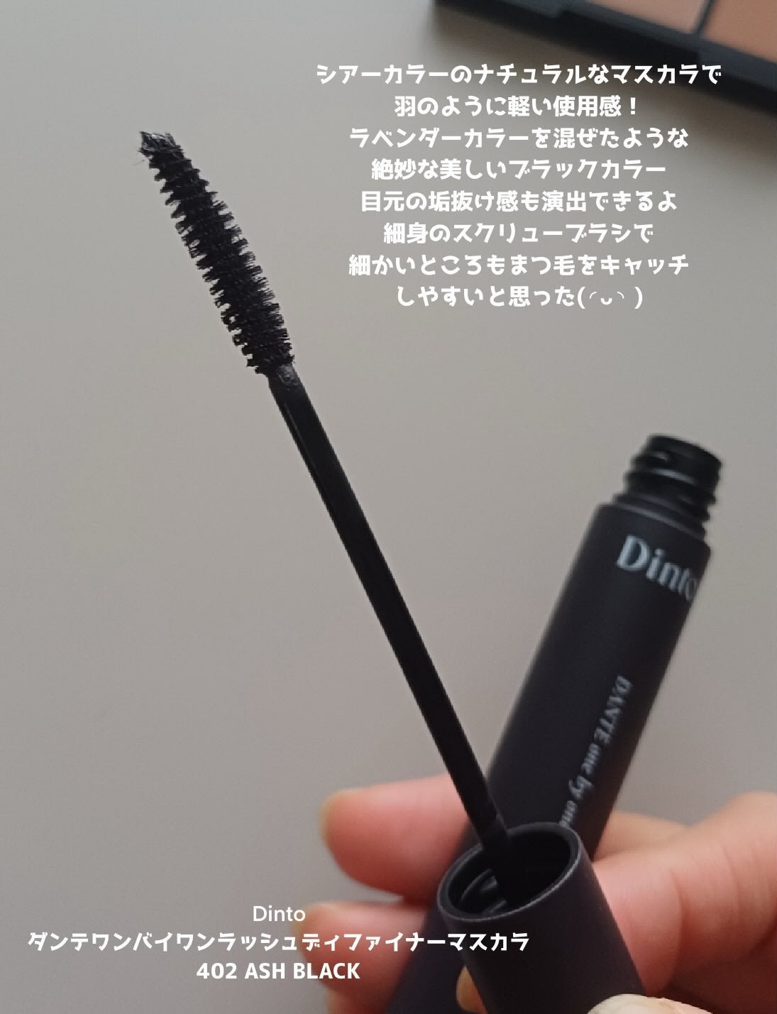 ブラーフィニシュシャドウパレット/Dinto/アイシャドウパレットを使ったクチコミ(4枚目)