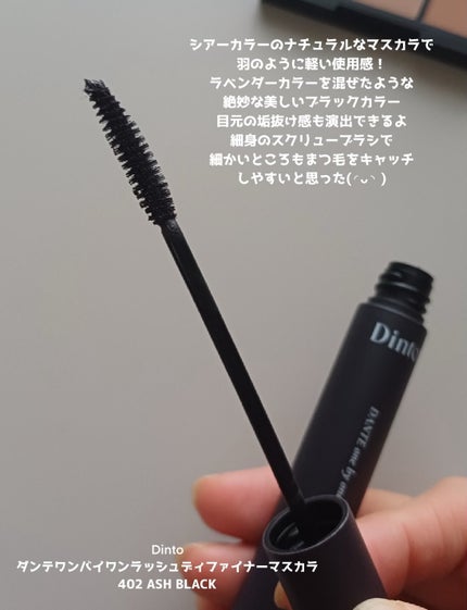 ブラーフィニシュシャドウパレット/Dinto/アイシャドウパレットを使ったクチコミ(4枚目)