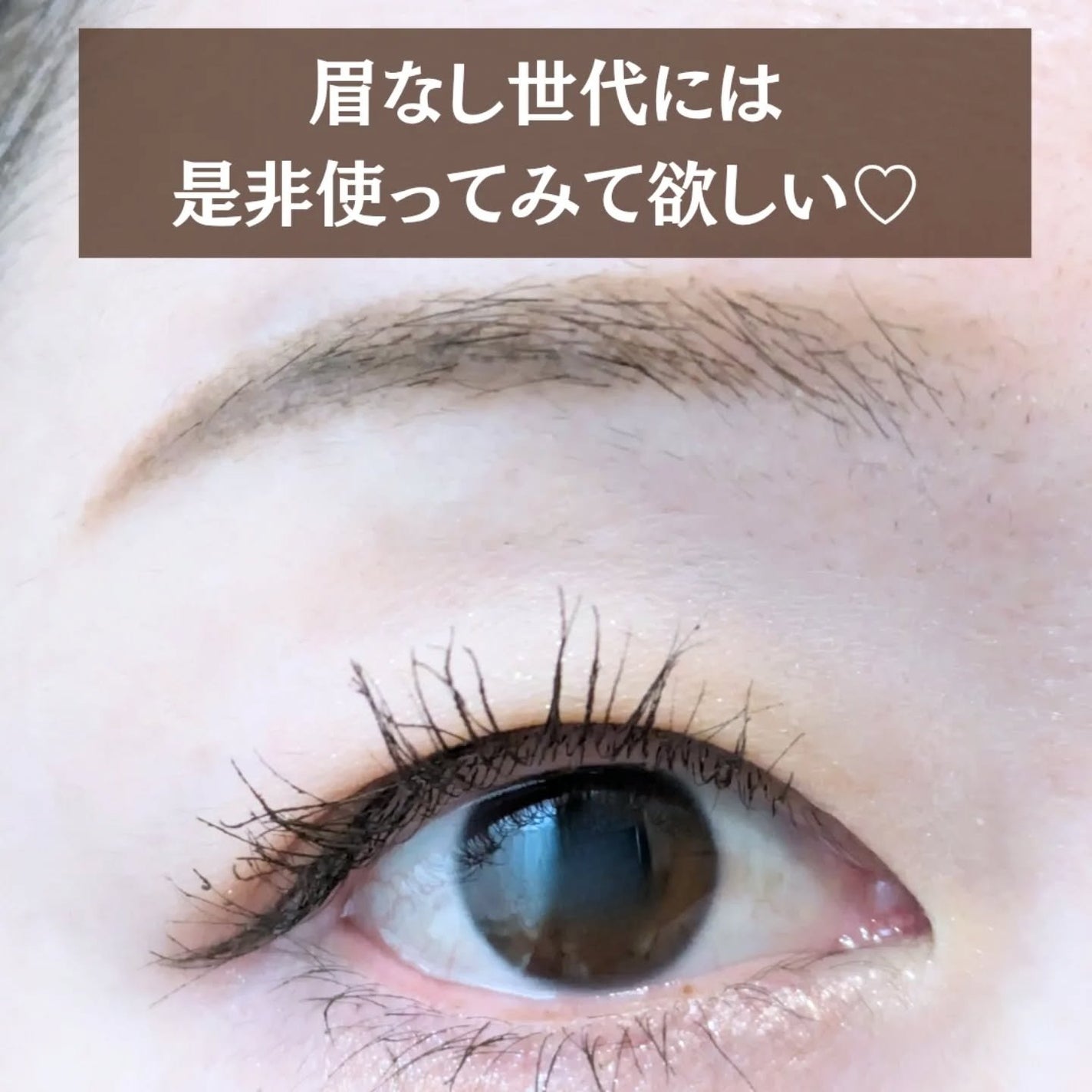 アイブロウ&シェードパウダー/CEZANNE/パウダーアイブロウを使ったクチコミ(4枚目)