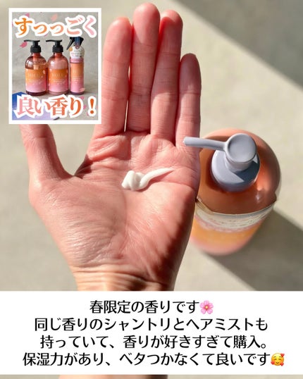 YOLU ヨル トリーツ スプリング カームナイトケアボディミルクのクチコミ「春限定が好きすぎる🌸
⋆┈┈┈┈┈┈┈┈┈┈┈┈┈┈┈⋆
YOLU
カームナイト.....」(3枚目)