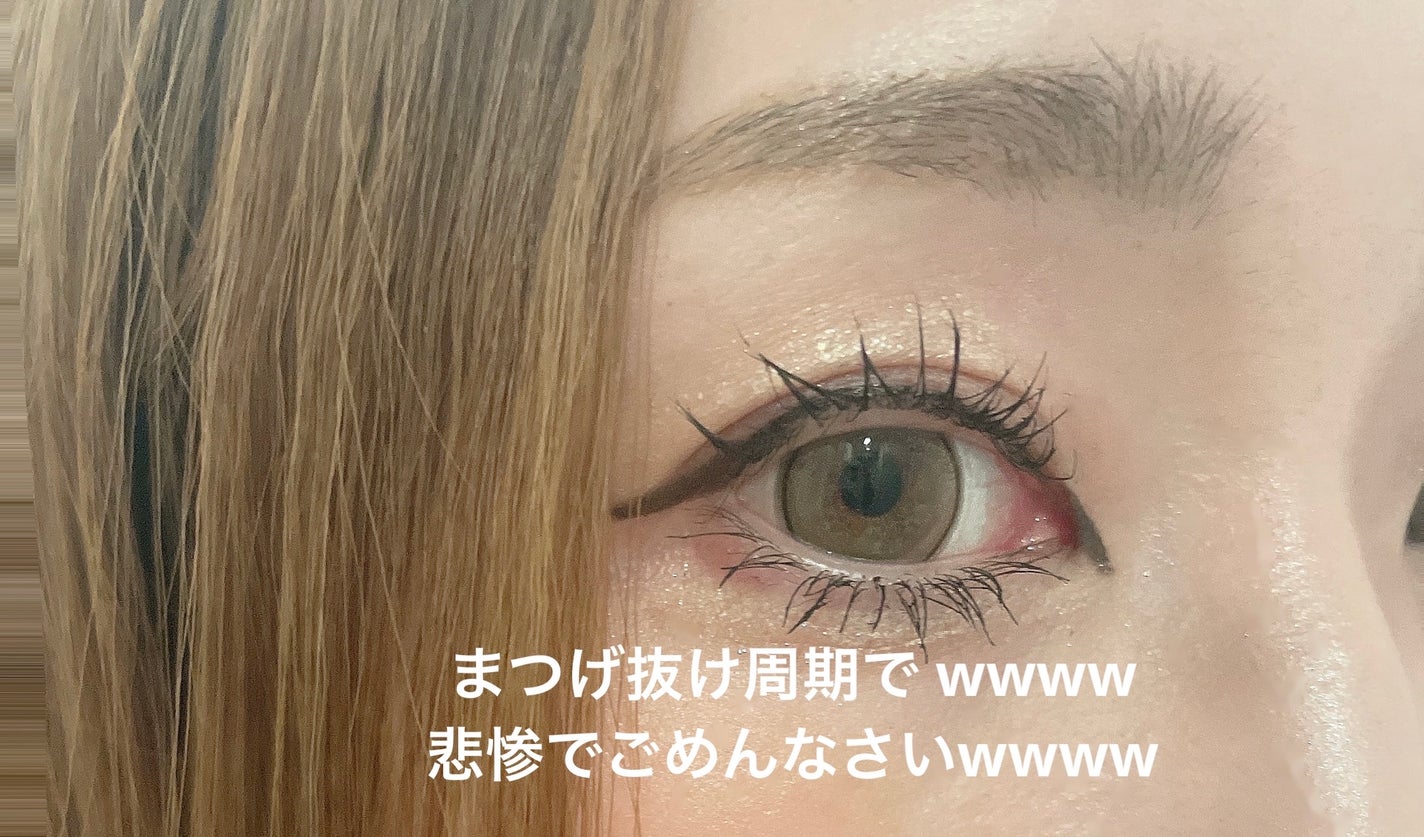SP フラッフ ブロウ ムース/MAYBELLINE NEW YORK/眉マスカラを使ったクチコミ(7枚目)