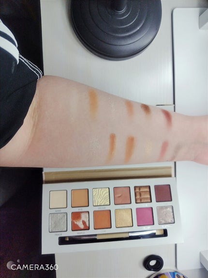 エクスプローラ12色 動物アイシャドウパレット/PERFECT DIARY/アイシャドウパレットを使ったクチコミ(3枚目)