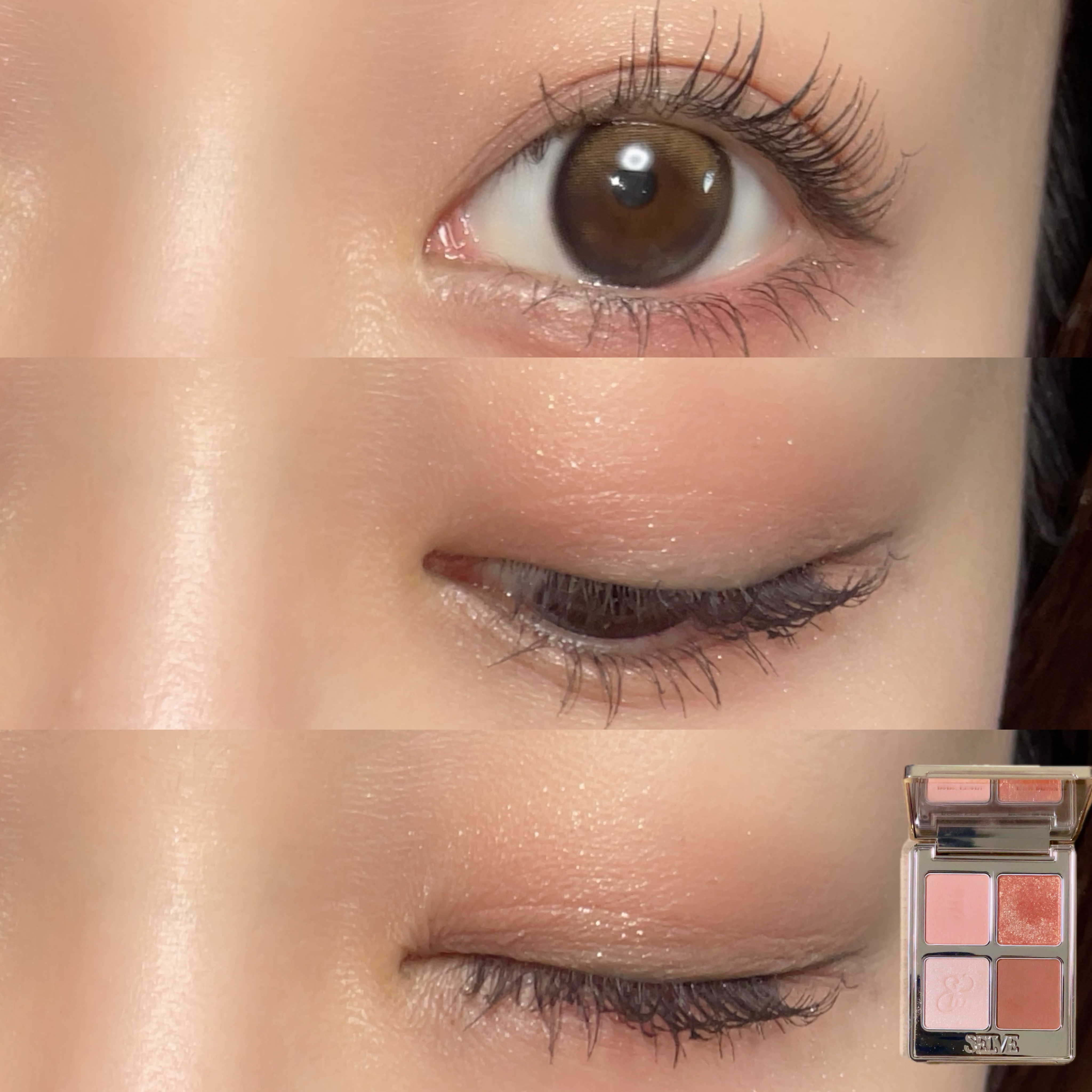 マイミューズパレット/SELVE/アイシャドウパレットを使ったクチコミ（2枚目）