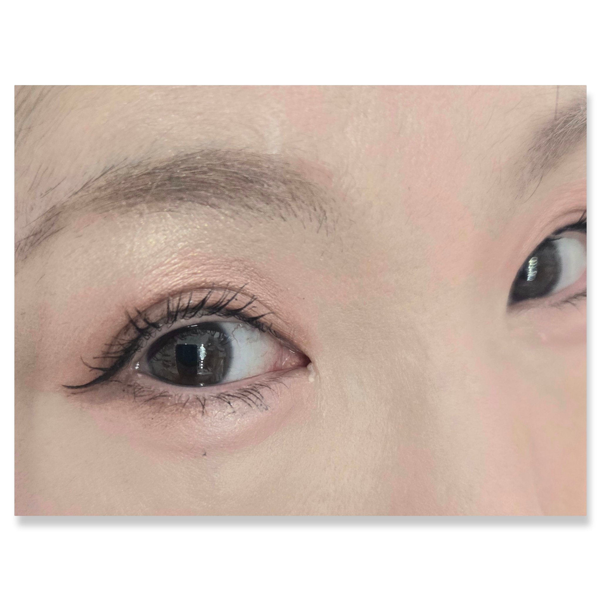 ザジー ジグソーアイシャドウパレット/SHEGLAM/アイシャドウパレットを使ったクチコミ（2枚目）