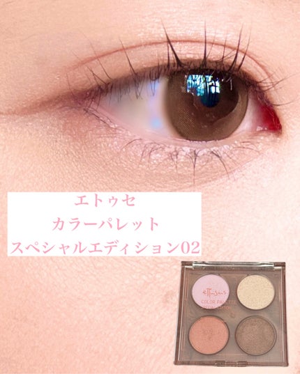 エテュセ カラーパレット スペシャル エディション/ettusais/アイシャドウパレットを使ったクチコミ(4枚目)