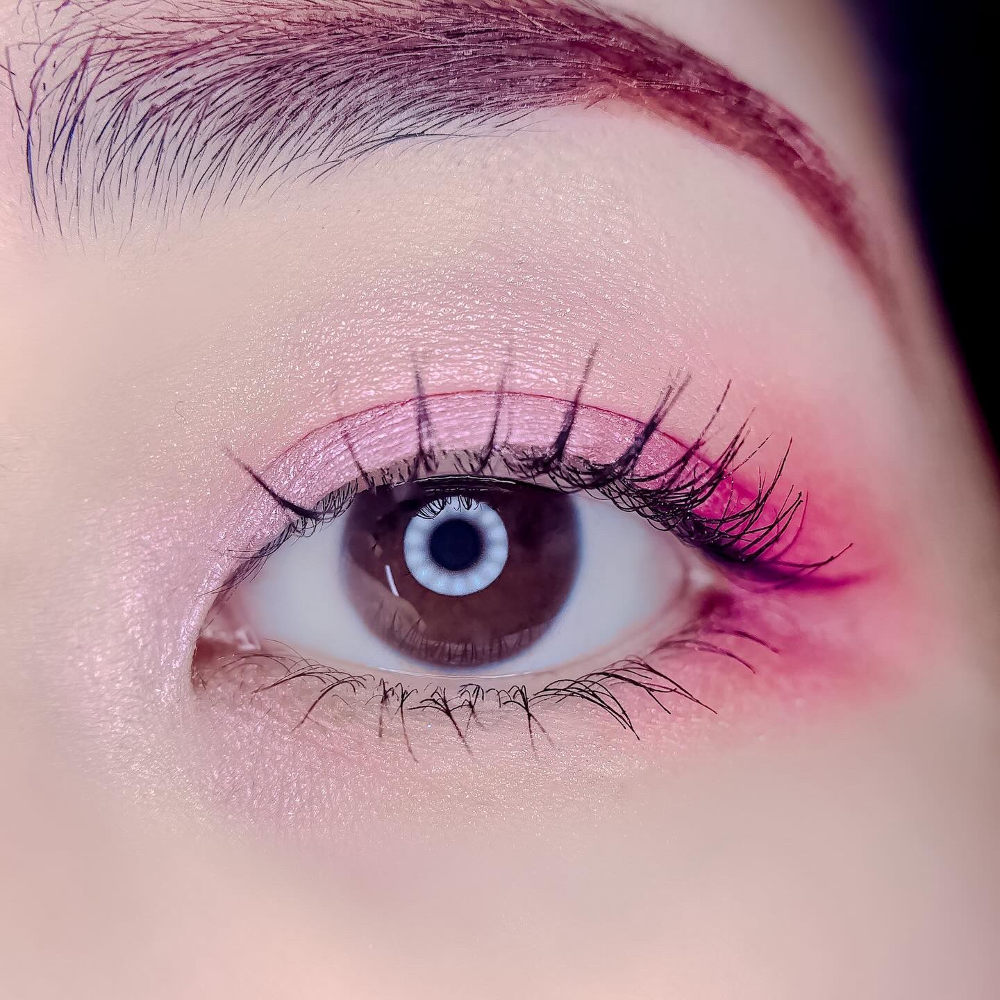 ディオールショウ サンク クルール（スプリング コレクション 2026 限定品）/Dior/アイシャドウを使ったクチコミ（3枚目）