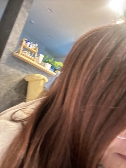 ディープリペアヘアセラム/TIARERA/ヘアオイルを使ったクチコミ(3枚目)