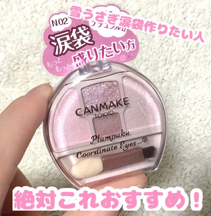 プランぷくコーデアイズNeo/キャンメイク/アイシャドウを使ったクチコミ(1枚目)