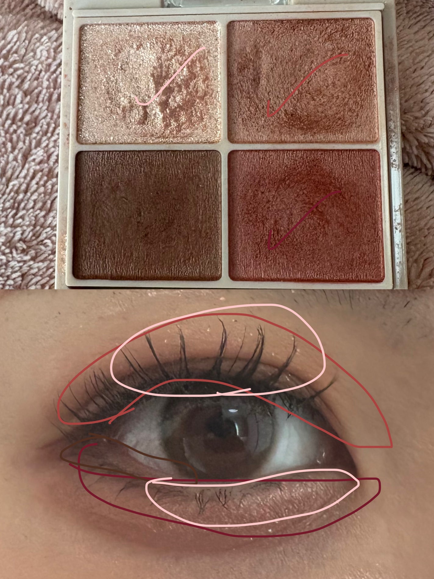 シルキースフレアイズ(マットタイプ)/キャンメイク/アイシャドウパレットを使ったクチコミ(2枚目)
