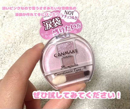 プランぷくコーデアイズNeo/キャンメイク/アイシャドウを使ったクチコミ(6枚目)