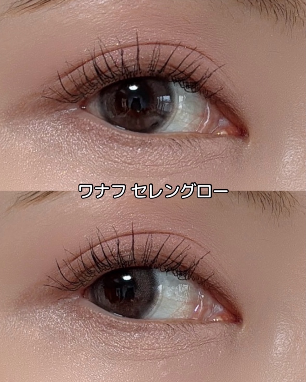 WANAF 1day セレングロー(SELENE GLOW)/WANAF/ワンデー（１DAY）カラコンを使ったクチコミ（3枚目）